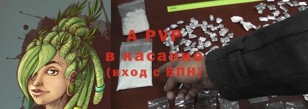 СК Арсеньев