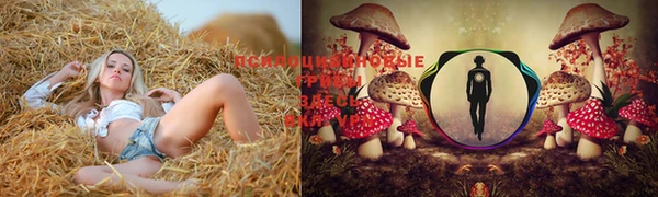 MESCALINE Армянск