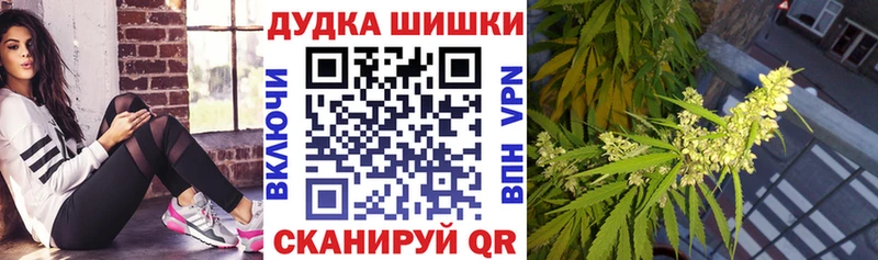 Бошки марихуана гибрид Новоузенск